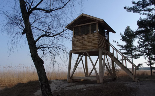 Stebejimo bokst (2)_1.jpg